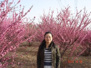 happy-zhang1